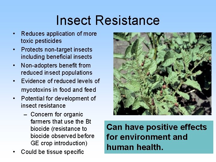 Insect Resistance • Reduces application of more toxic pesticides • Protects non-target insects including