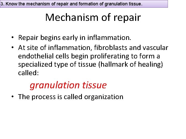 3. Know the mechanism of repair and formation of granulation tissue. Mechanism of repair