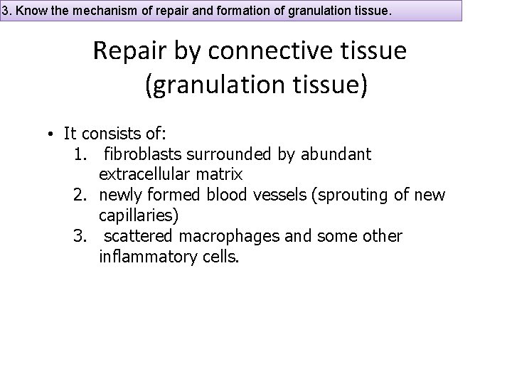 3. Know the mechanism of repair and formation of granulation tissue. Repair by connective