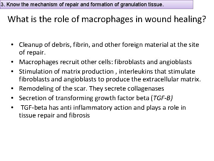 3. Know the mechanism of repair and formation of granulation tissue. What is the