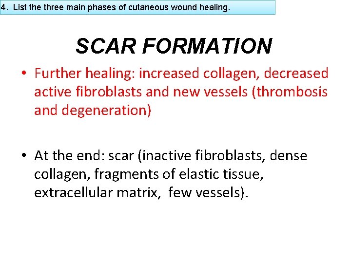 4. List the three main phases of cutaneous wound healing. SCAR FORMATION • Further