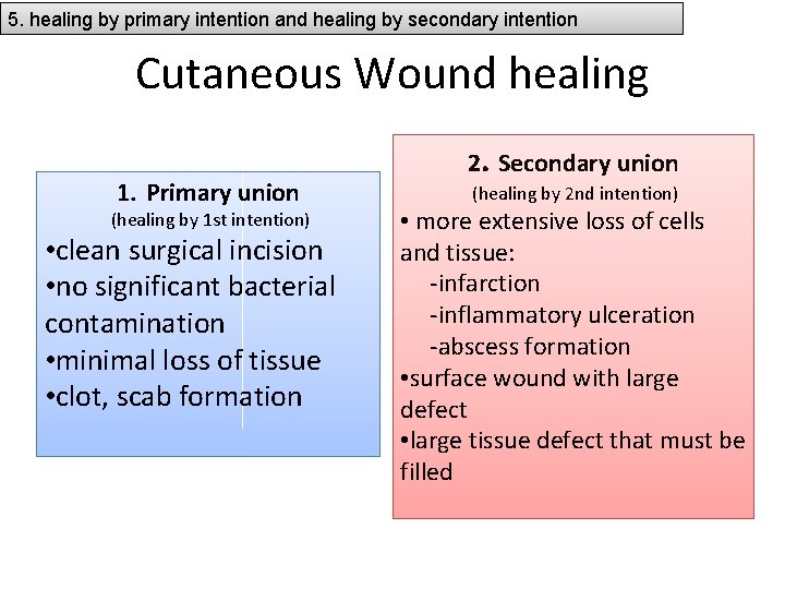 5. healing by primary intention and healing by secondary intention Cutaneous Wound healing 1.