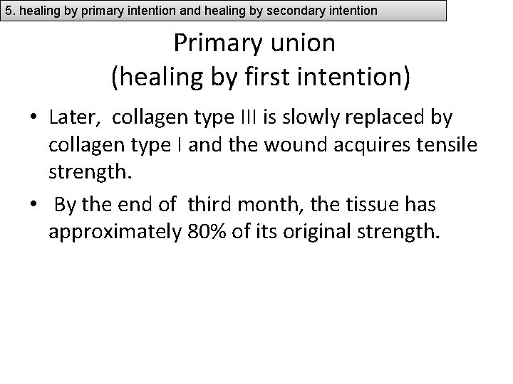 5. healing by primary intention and healing by secondary intention Primary union (healing by