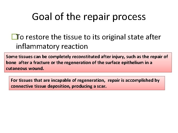 Goal of the repair process �To restore the tissue to its original state after