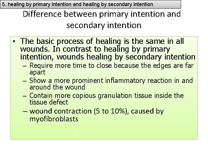 5. healing by primary intention and healing by secondary intention Difference between primary intention