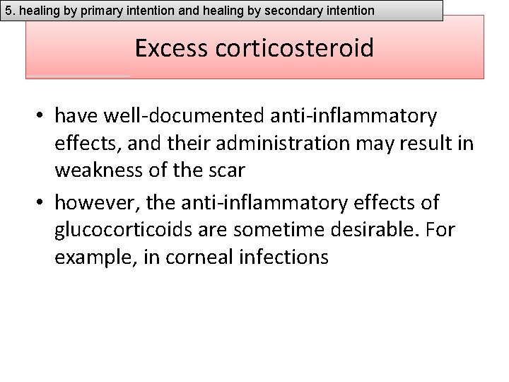 5. healing by primary intention and healing by secondary intention Excess corticosteroid • have