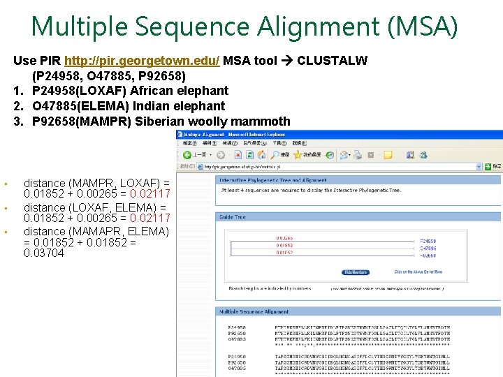 Multiple Sequence Alignment (MSA) Use PIR http: //pir. georgetown. edu/ MSA tool CLUSTALW (P
