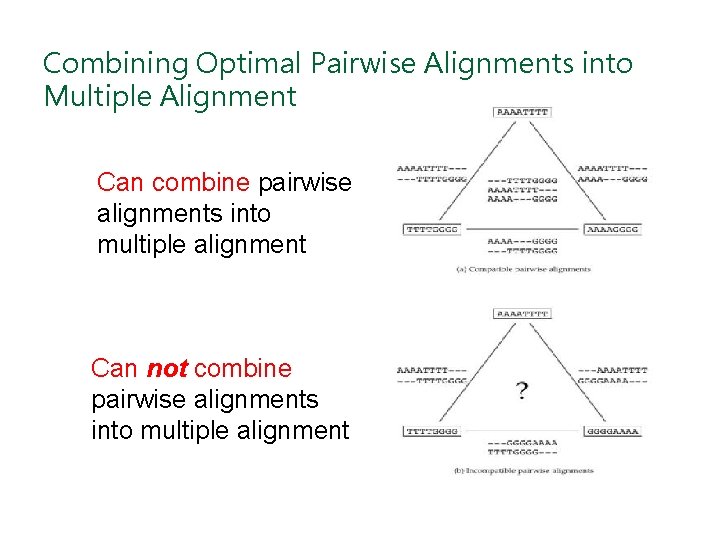 Combining Optimal Pairwise Alignments into Multiple Alignment Can combine pairwise alignments into multiple alignment
