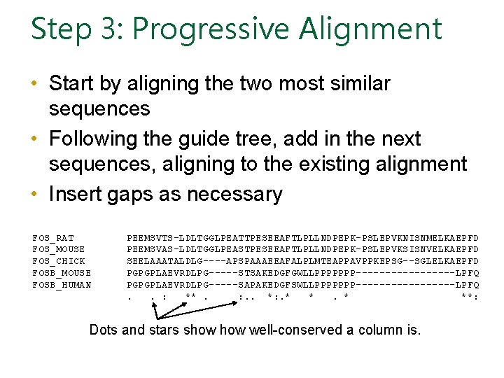 Step 3: Progressive Alignment • Start by aligning the two most similar sequences •
