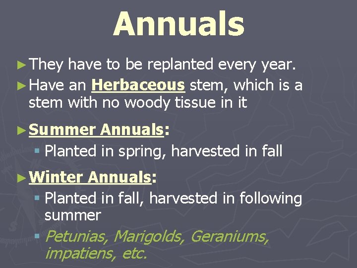 Annuals ► They have to be replanted every year. ► Have an Herbaceous stem,