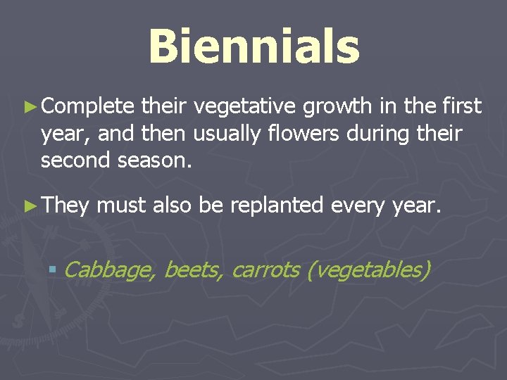 Biennials ► Complete their vegetative growth in the first year, and then usually flowers