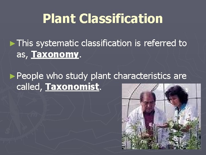 Plant Classification ► This systematic classification is referred to as, Taxonomy. ► People who