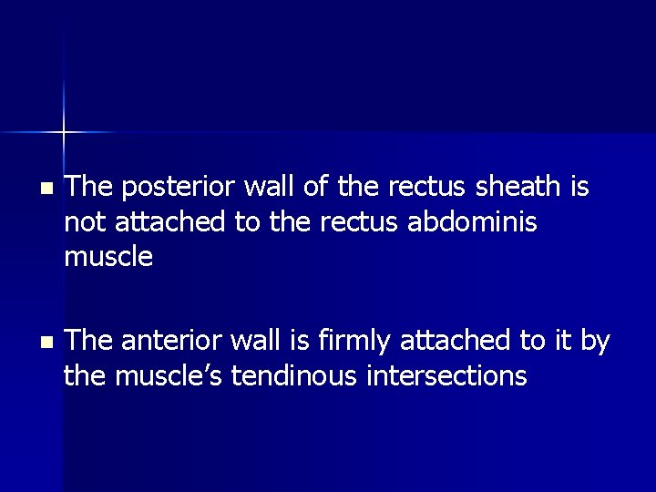 n The posterior wall of the rectus sheath is not attached to the rectus