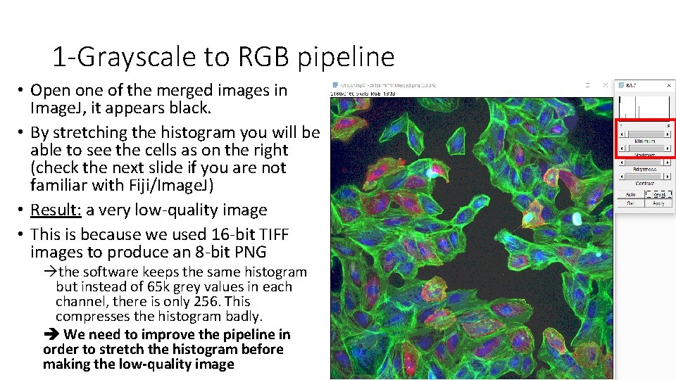 1 -Grayscale to RGB pipeline • Open one of the merged images in Image.