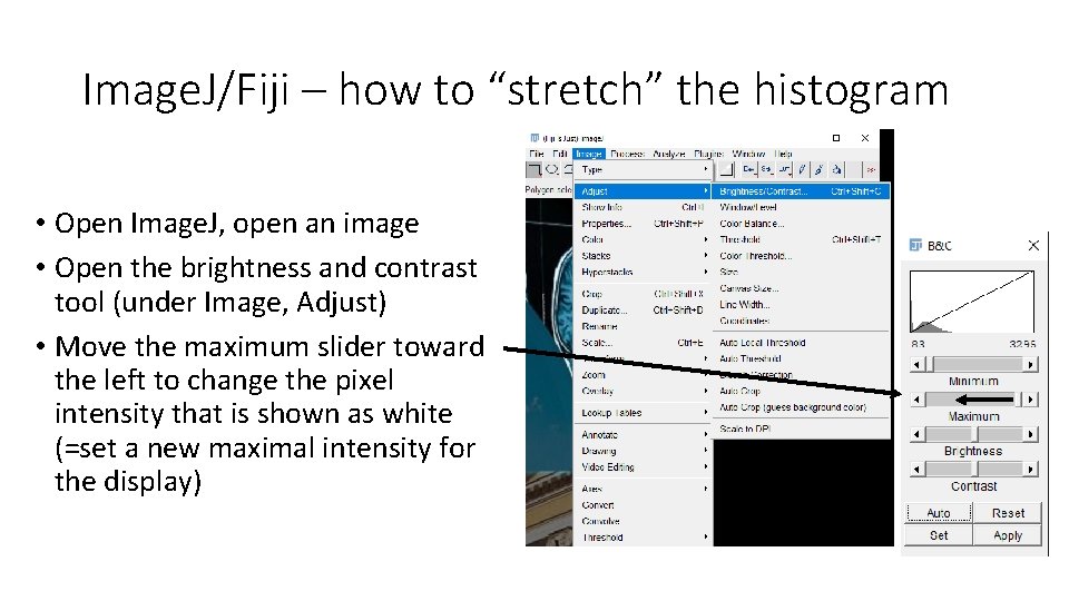 Image. J/Fiji – how to “stretch” the histogram • Open Image. J, open an