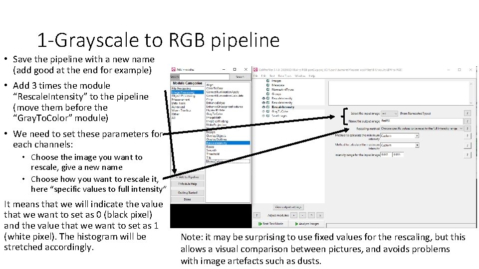 1 -Grayscale to RGB pipeline • Save the pipeline with a new name (add