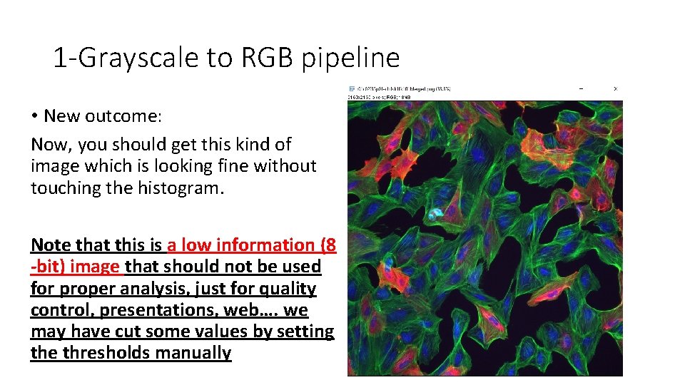1 -Grayscale to RGB pipeline • New outcome: Now, you should get this kind