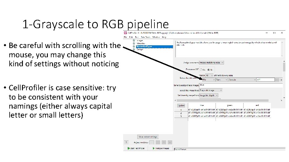 1 -Grayscale to RGB pipeline • Be careful with scrolling with the mouse, you