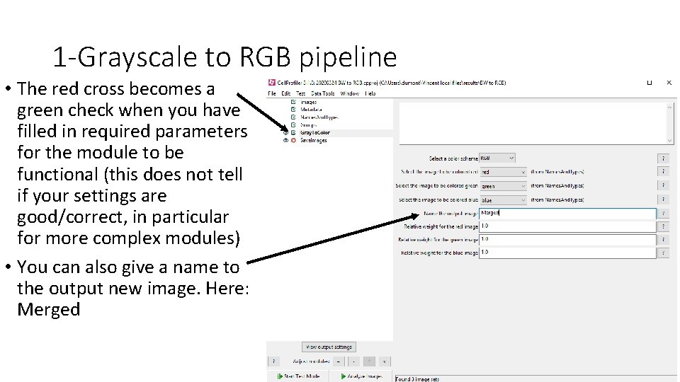 1 -Grayscale to RGB pipeline • The red cross becomes a green check when