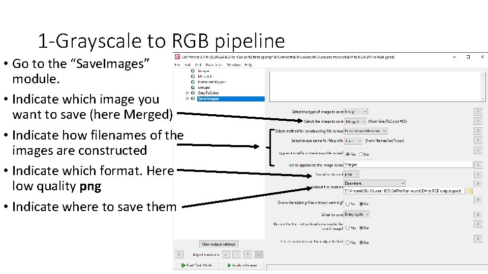 1 -Grayscale to RGB pipeline • Go to the “Save. Images” module. • Indicate