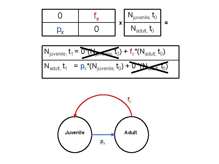 0 fx px 0 x Njuvenile, t 0 Nadult, t 0 = Njuvenile, t