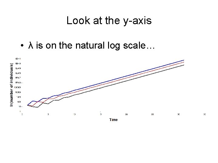 Look at the y-axis • λ is on the natural log scale… 