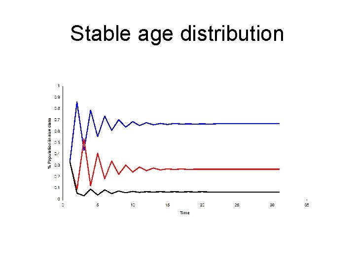 Stable age distribution 