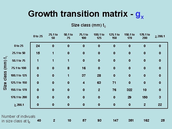 Growth transition matrix - gx Size class (mm) t 1 Size class (mm) t