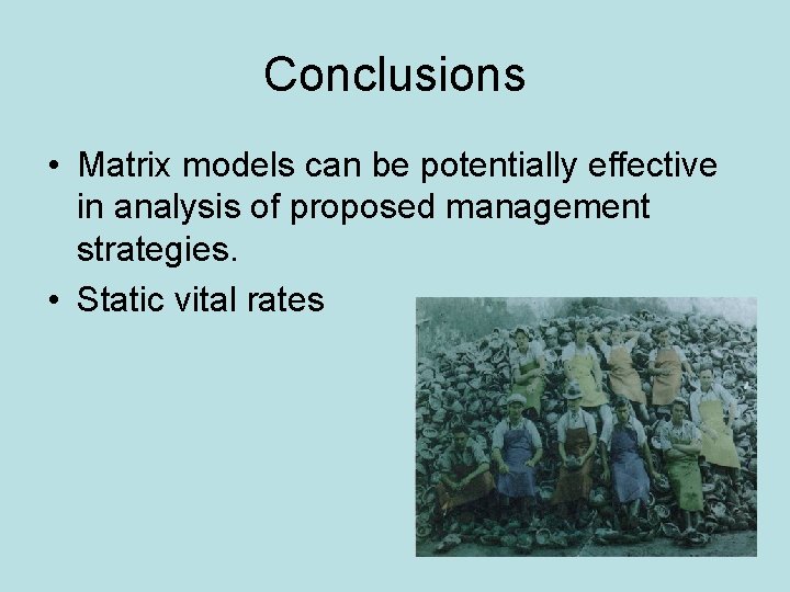 Conclusions • Matrix models can be potentially effective in analysis of proposed management strategies.