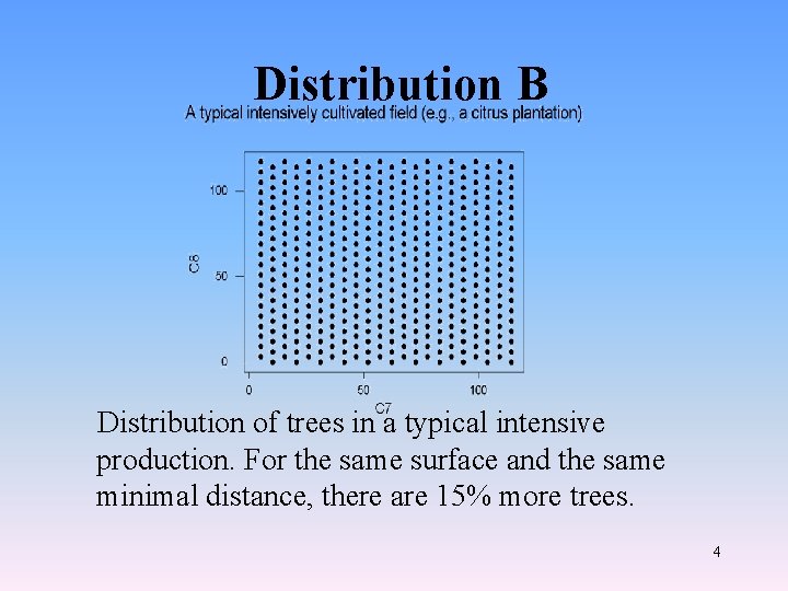 Distribution B Distribution of trees in a typical intensive production. For the same surface