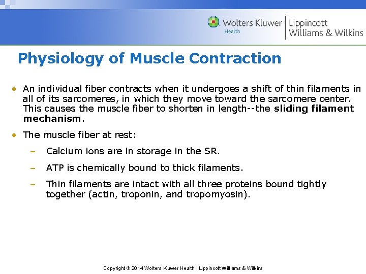 Physiology of Muscle Contraction • An individual fiber contracts when it undergoes a shift