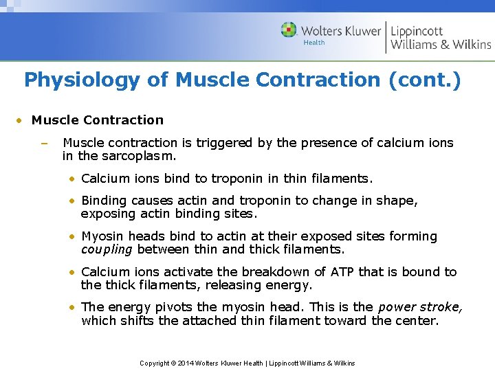 Physiology of Muscle Contraction (cont. ) • Muscle Contraction – Muscle contraction is triggered
