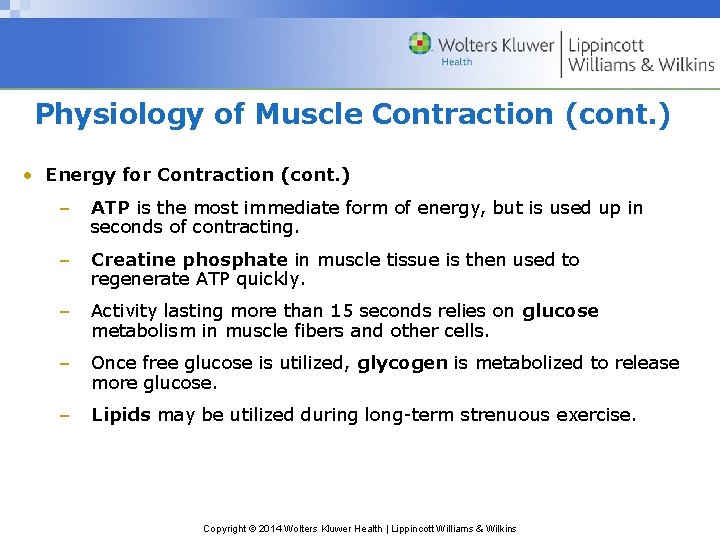 Physiology of Muscle Contraction (cont. ) • Energy for Contraction (cont. ) – ATP
