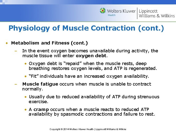 Physiology of Muscle Contraction (cont. ) • Metabolism and Fitness (cont. ) – In