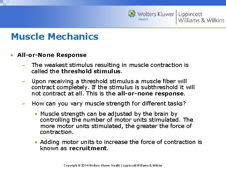 Muscle Mechanics • All-or-None Response – The weakest stimulus resulting in muscle contraction is