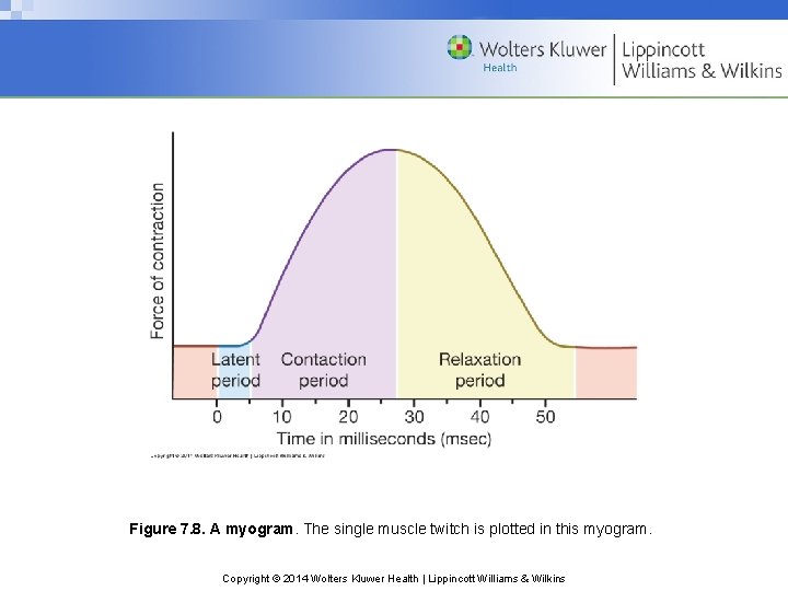 Figure 7. 8. A myogram. The single muscle twitch is plotted in this myogram.