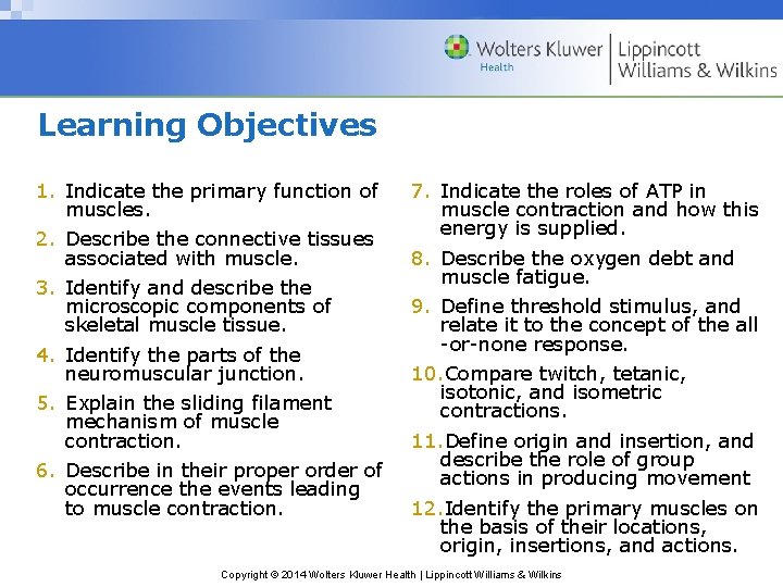 Learning Objectives 1. Indicate the primary function of muscles. 2. Describe the connective tissues