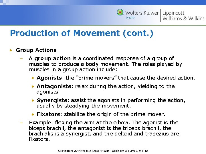 Production of Movement (cont. ) • Group Actions – A group action is a