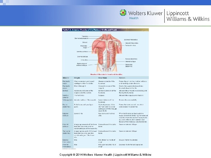 Copyright © 2014 Wolters Kluwer Health | Lippincott Williams & Wilkins 