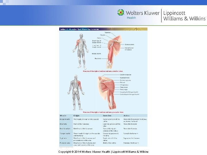 Copyright © 2014 Wolters Kluwer Health | Lippincott Williams & Wilkins 
