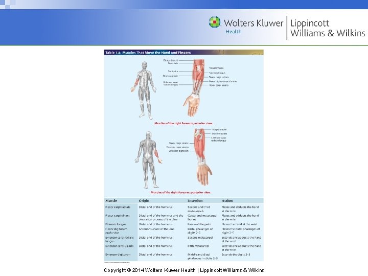 Copyright © 2014 Wolters Kluwer Health | Lippincott Williams & Wilkins 