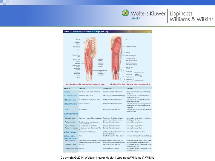 Copyright © 2014 Wolters Kluwer Health | Lippincott Williams & Wilkins 