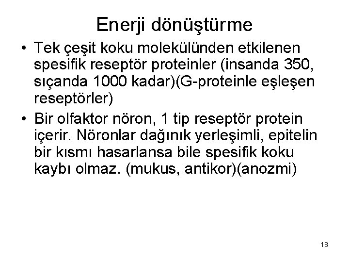 Enerji dönüştürme • Tek çeşit koku molekülünden etkilenen spesifik reseptör proteinler (insanda 350, sıçanda
