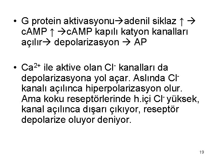  • G protein aktivasyonu adenil siklaz ↑ c. AMP ↑ c. AMP kapılı
