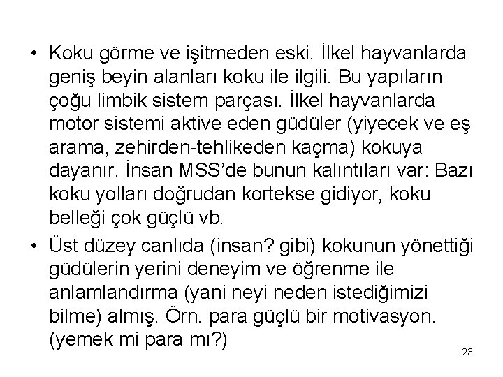  • Koku görme ve işitmeden eski. İlkel hayvanlarda geniş beyin alanları koku ile