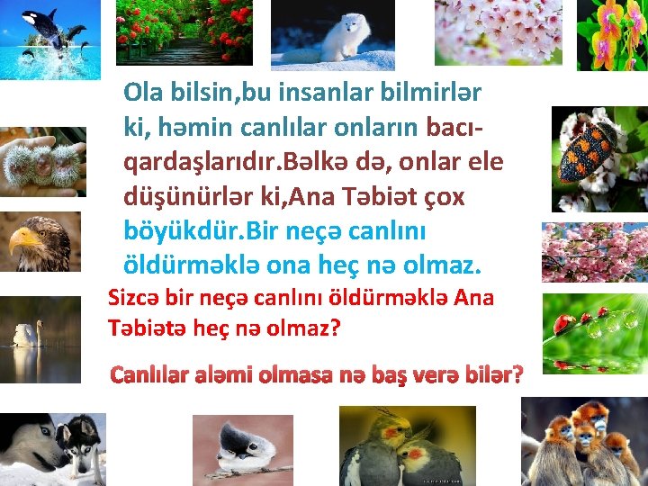 Ola bilsin, bu insanlar bilmirlər ki, həmin canlılar onların bacıqardaşlarıdır. Bəlkə də, onlar ele