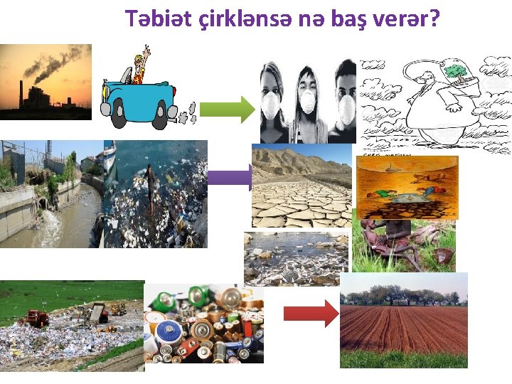 Təbiət çirklənsə nə baş verər? 