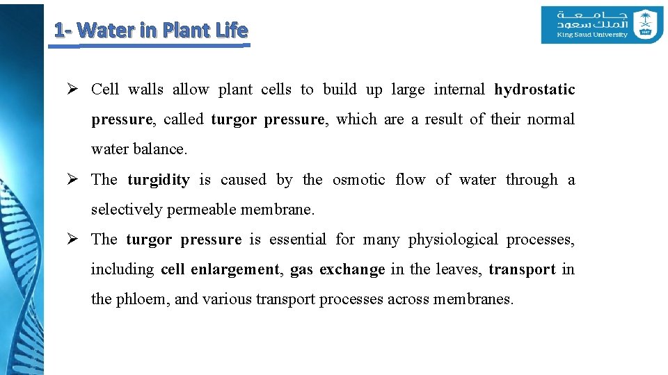 1 - Water in Plant Life Ø Cell walls allow plant cells to build