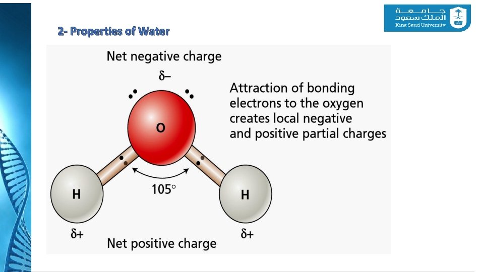 2 - Properties of Water 