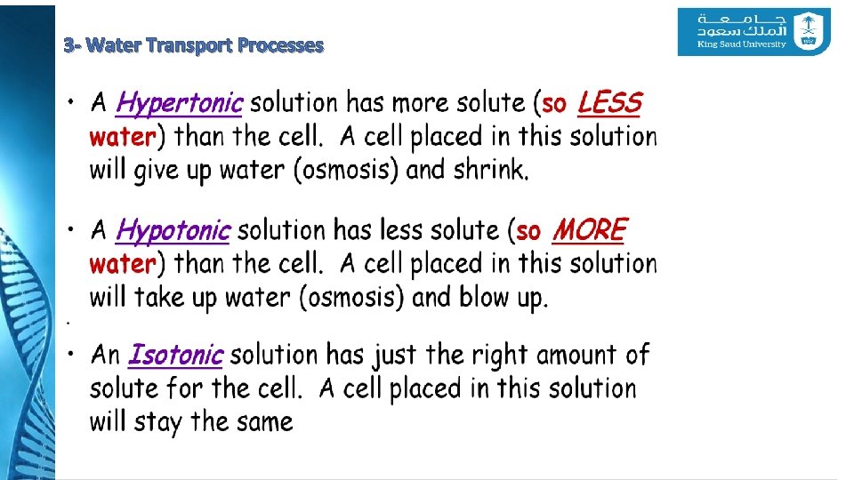 3 - Water Transport Processes 